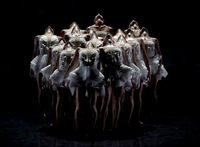 Le Lac de Cygnes, Ballet sur grand écran, à la Saline de Soultz-sous-Forêts
